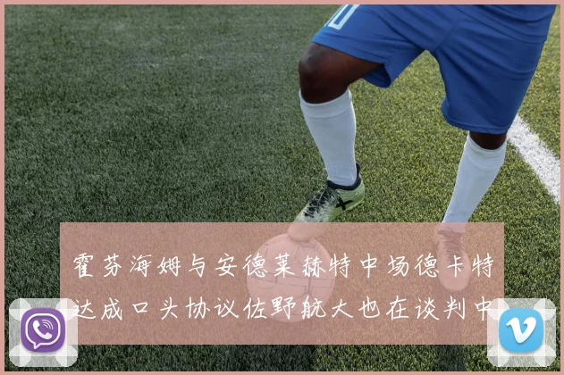 霍芬海姆与安德莱赫特中场德卡特达成口头协议佐野航大也在谈判中