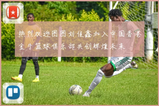 热烈欢迎图图刘佳鑫加入中国香港金牛篮球俱乐部共创辉煌未来